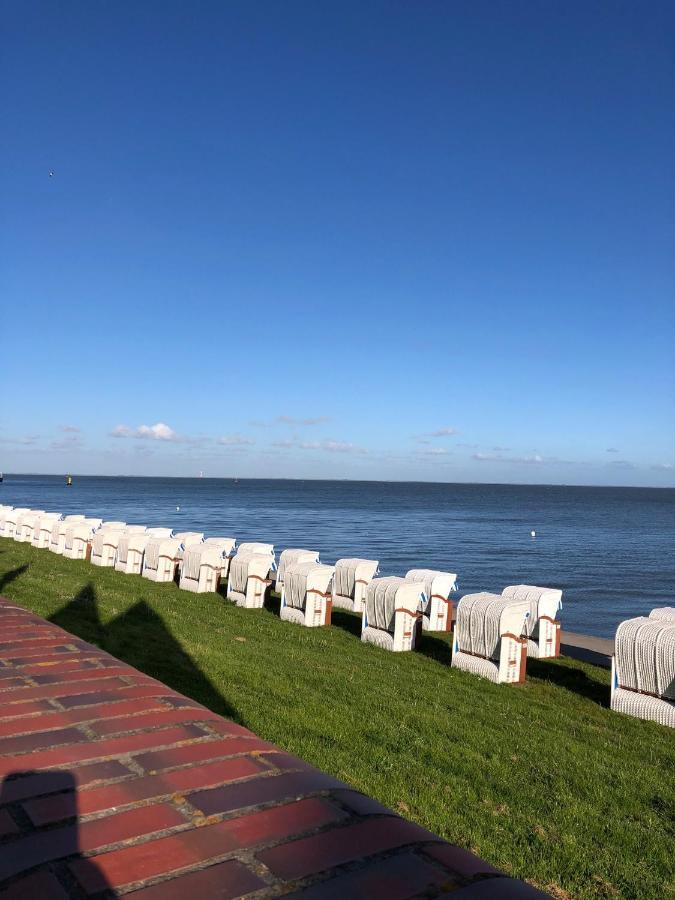 Strandlaeufer * Wilhelmshaven